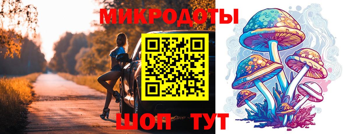 Псилоцибиновые грибы Psilocybe Удомля